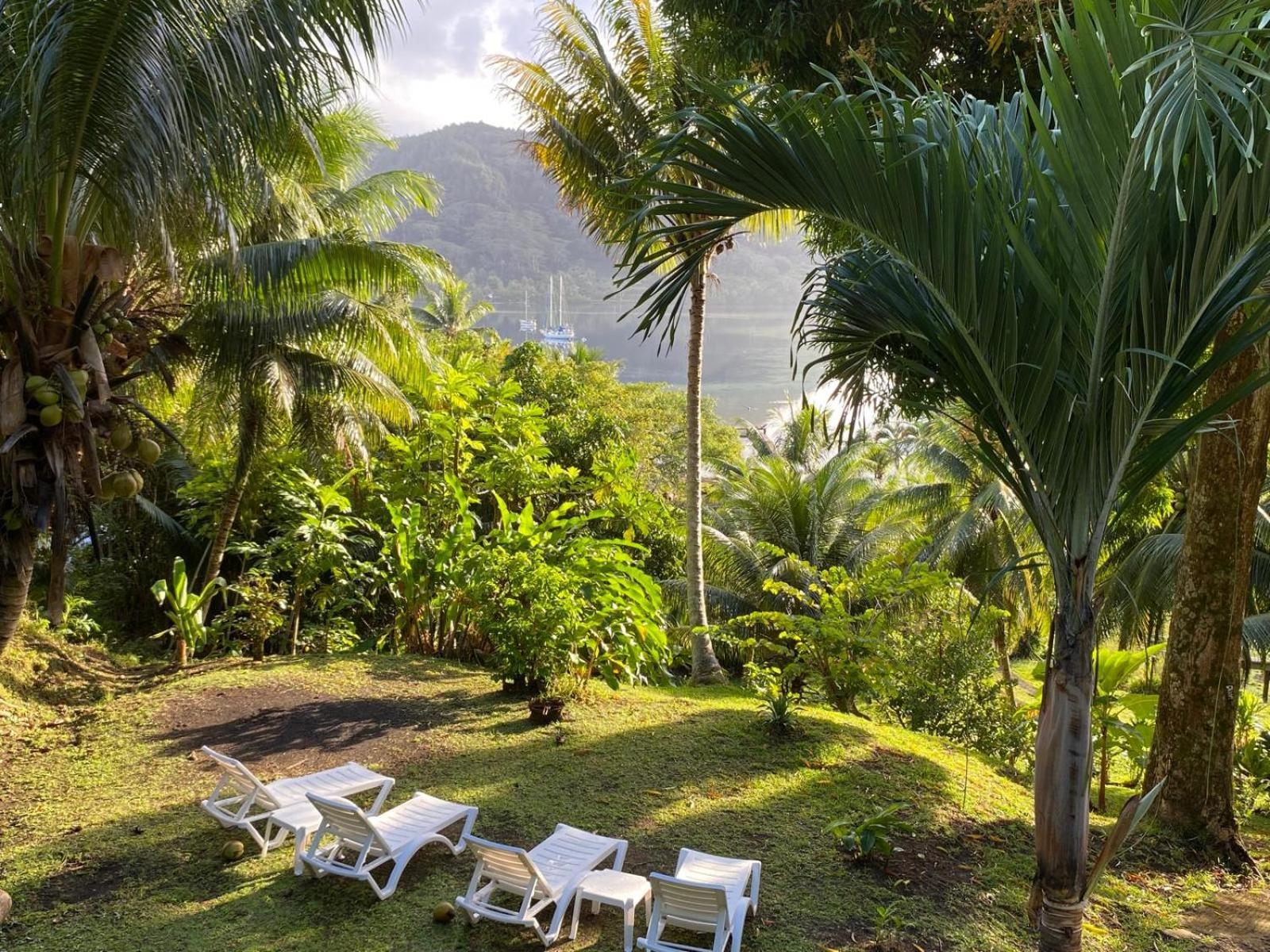 Haapu Huahine Manta Lodge Avec 4X4 Optionnel מראה חיצוני תמונה