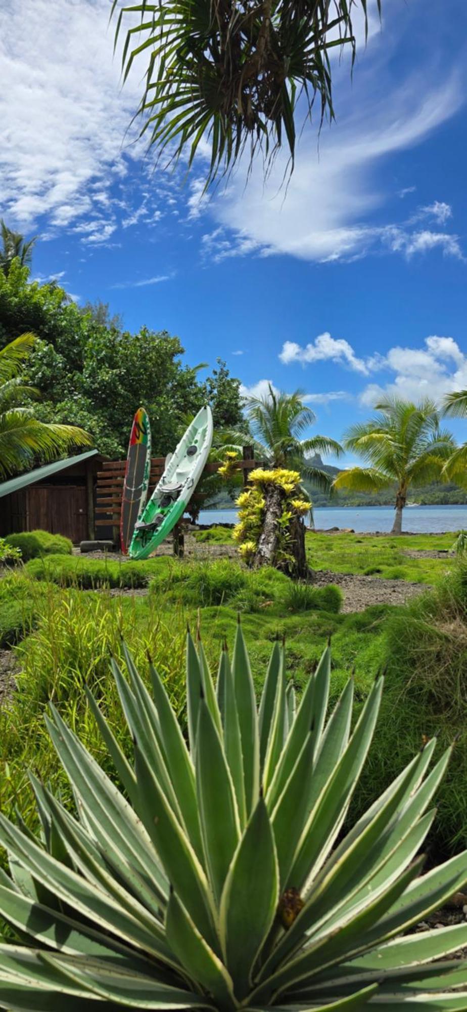 Haapu Huahine Manta Lodge Avec 4X4 Optionnel מראה חיצוני תמונה